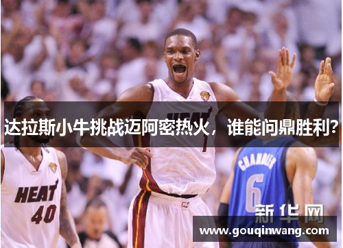 达拉斯小牛挑战迈阿密热火，谁能问鼎胜利？